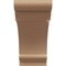 Ekena Millwork 9"W x 18"D x 18"H Classic Hughes Rough Cedar Woodgrain TimberThane Corbel, Primed Tan CORUR09X18X18HUGRCPR - alternate 2